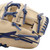SSK Z7 Specialist 11.5" Infield Baseball Glove Z7-1150CMLNVY1