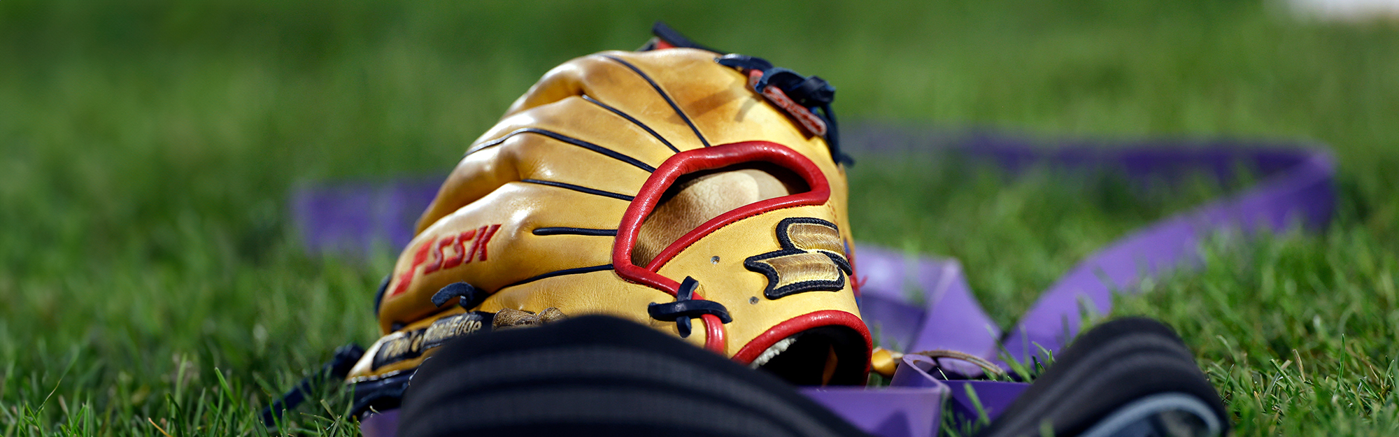 GLOVES - SSK ZPro Baseball Gloves - SSK Baseball