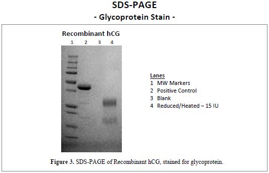 rec-hcg-glycoprotein.jpg