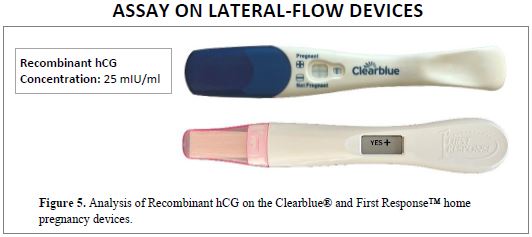 rec-hcg-lateral-flow.jpg