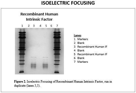 rec-if-ief.jpg