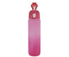 1 Litre Gradient Water Bottle - GSR - P2629LP