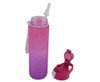 1 Litre Gradient Water Bottle - GSR - P2629VP