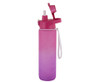 1 Litre Gradient Water Bottle - GSR - P2629VP with Secure Clip Lid