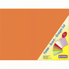 Donau  Board Folders 180gsm Foolscap-Orange Donau  Board Folders 180gsm Foolscap-Orange