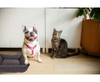 Cosy Pet Bed - GSR - P2682