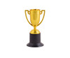 Mini Cup Trophy - GSR - P2247