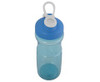 800ml Wishbone Water Bottle - GSR - P2336F