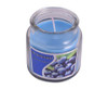 Scented Candle in Jar - GSR - P2450E