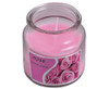 Scented Candle in Jar - GSR - P2450P