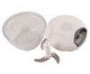 Home Master Vegetable Chopper - GSR - P2559