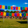 Pennants PVC Plain
