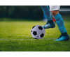 Field-Pro Size 5 Soccer Ball - Inflated - GSR - P2641-Inflated