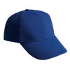 6 Panel Heavy Brush-CAP1006