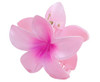 Spa Headband, Wristband & Hair Clip Set - GSR - P2861P