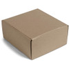 PG-AM-404-B-02-NO-LOGO
