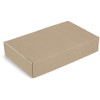 PG-AM-406-B-02-AMROD-NO-LOGO