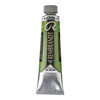 ROYAL TALENS REMBRANDT Oil 40Ml Cinnabar Grn Med-RT01056252 ROYAL TALENS REMBRANDT Oil 40Ml Cinnabar Grn Med-RT01056252
