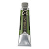 ROYAL TALENS REMBRANDT Oil 40Ml Sap Green-RT01056232