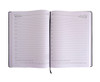 Executive Diary A5 - GSR - ST302BA5-2027