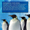 PENGUIN INKJET PHOTO PAPER MATT 120GSM  50 SHEETS  A/4 - 17402005-KOL PENGUIN INKJET PHOTO PAPER MATT 120GSM  50 SHEETS  A/4 - 17402005-KOL