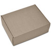GF-AL-1436-B_BOX-NO-LOGO