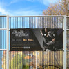 BA-AM-1-D-LIFESTYLE