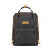 Paxton Two Tone Backpack - BAG25446