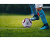 Striker Soccer Ball - GSR - P2640