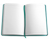 Flexi Notebook - GSR - ST331TA5