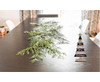 Christmas Tree Decoration Stand - GSR - P2687