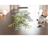 Santa Decorative Stand - GSR - P2688