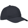 6 Panel Raven Cap