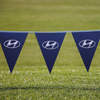 Pennants PVC Digital Double Sided Triangle
