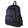 Cruz Laptop Backpack