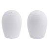 Arctic White Salt and Pepper Set