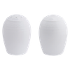 Arctic White Salt and Pepper Set