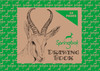 CROXLEY JD202 Springift Box OK 24 Page A4 Landscape Pack of 20 (Not Interleaved)-DRA202