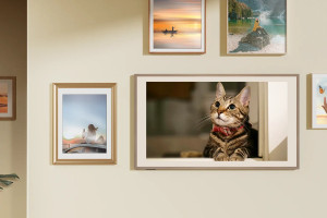 Hisense 55S7N, 139.7 cm (55"), 3840 x 2160 pixels, QLED, Smart TV, Wi-Fi, Gold