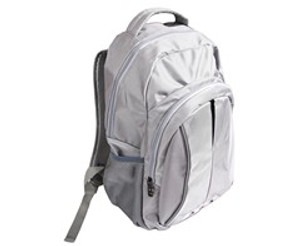Sector Laptop Backpack - GSR - BAG096S