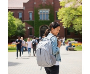 Sector Laptop Backpack - GSR - BAG096S