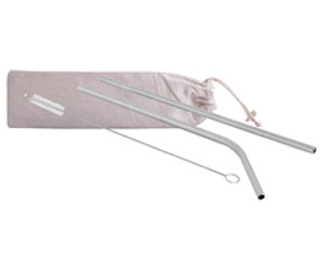 3-Piece SS Straws & Pipe Cleaner - GSR - P2452