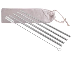 5-Piece SS Straws & Pipe Cleaner - GSR - P2453