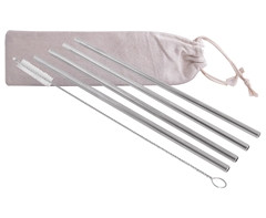 5-Piece SS Straws & Pipe Cleaner - GSR - P2453