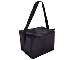 PVC 6-Can Cooler - GSR - P808B