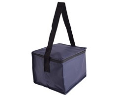 PVC 6-Can Cooler - GSR - P808E