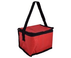 PVC 6-Can Cooler - GSR - P808R