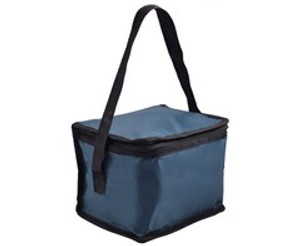 PVC 6-Can Cooler - GSR - P808U