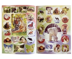 Wildlife Stickers & Colouring Book - GSR - ST322