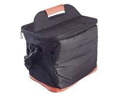 Coolix Lunch Cooler Bag  - GSR - P2853B